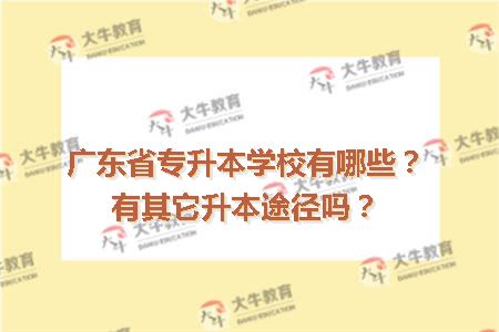 广东省专升本学校有哪些？有其它升本途径吗？