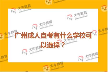 广州成人自考有什么学校可以选择？