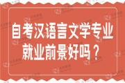 自考汉语言文学专业就业前景好吗？难吗？