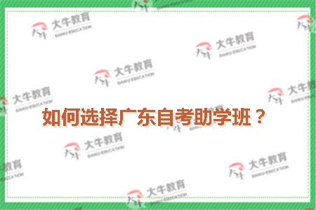 选择自考助学班