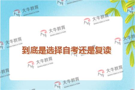 到底是选择自考还是复读