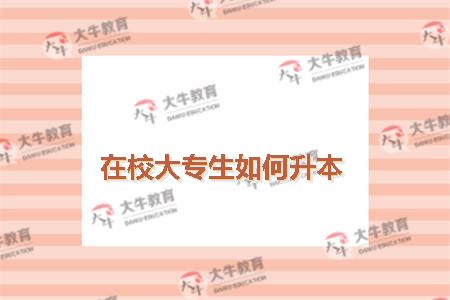 大专生如何升本