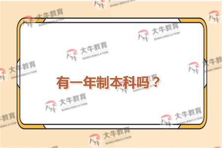 有一年制本科吗