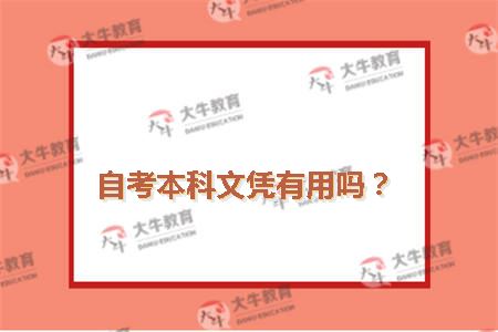 自考本科文凭有用吗