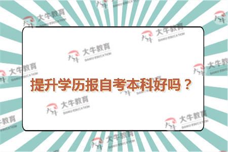 提升学历报自考本科好吗