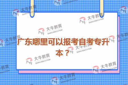 广东哪里可以报考自考专升本
