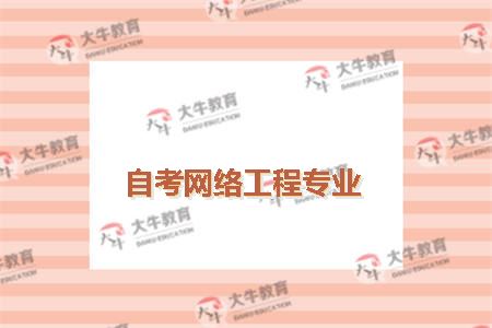 自考网络工程专业