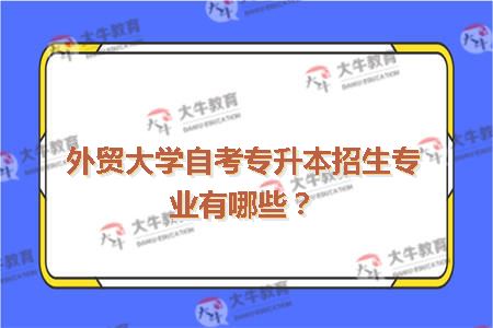 外贸大学自考专升本