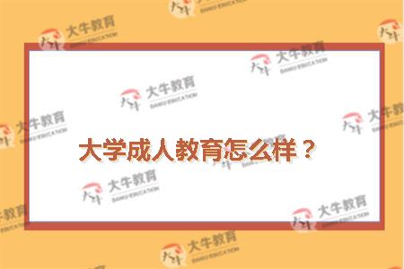 大学成人教育怎么样？