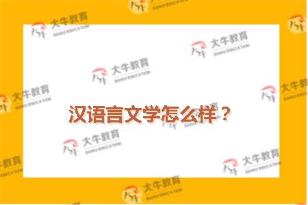 汉语言文学怎么样？