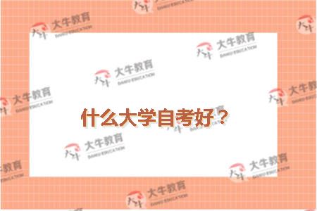 什么大学自考好？