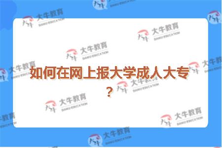 如何在网上报大学成人大专？