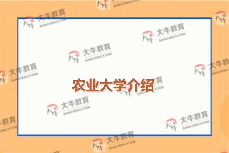 农业大学介绍